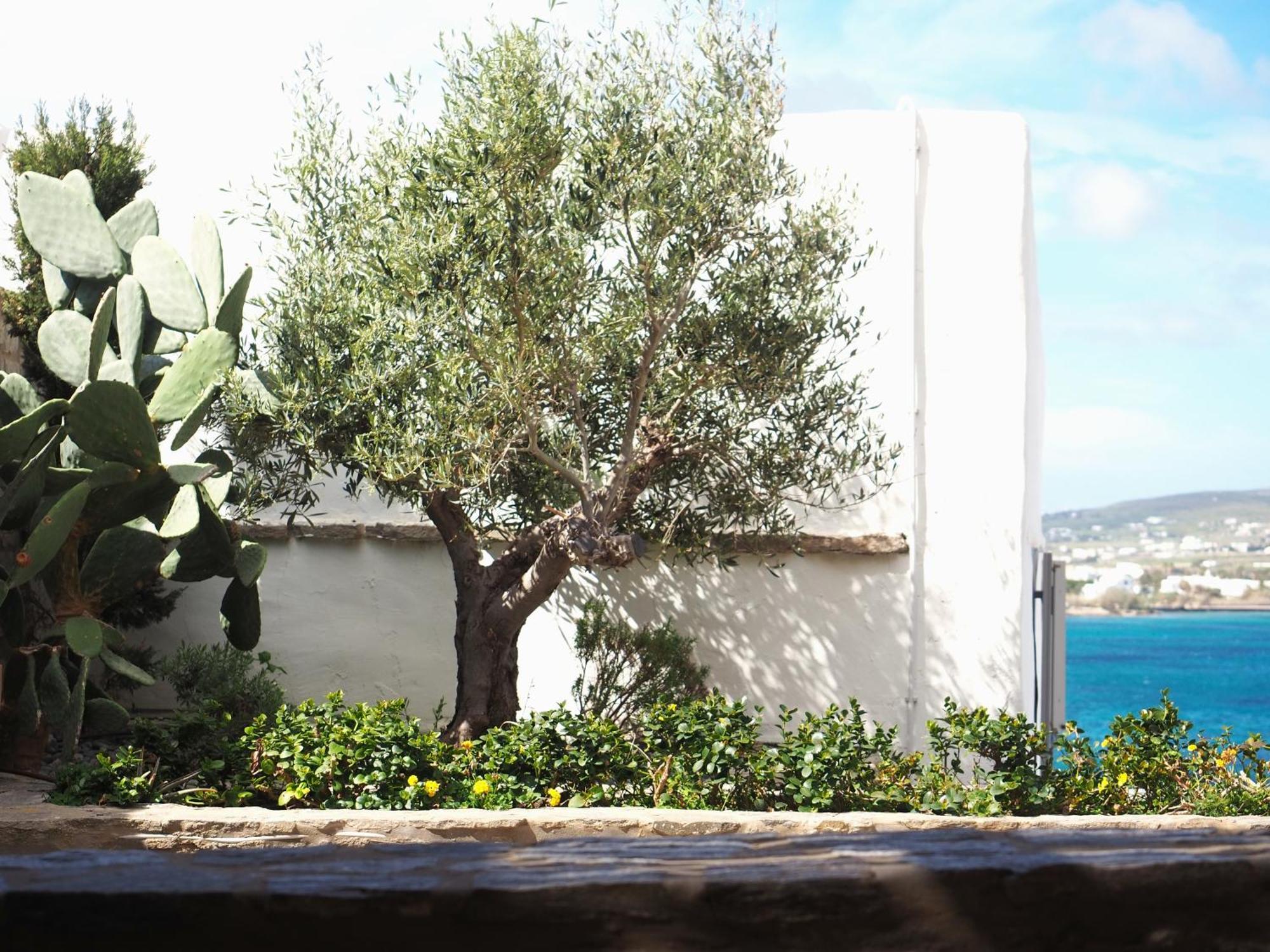 Ochre Dream, Beach Front & Sunset Villa Naousa Room photo